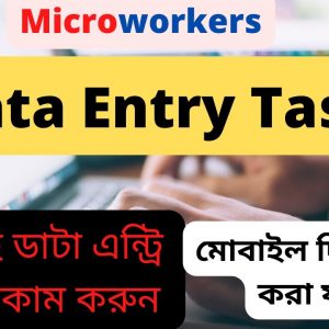 Data Entry Task । Microworkers । সহজেই ডাটা এন্ট্রি করে ইনকাম করুন